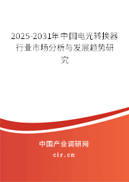 2024-2030年中國(guó)電光轉(zhuǎn)換器行業(yè)市場(chǎng)分析與發(fā)展趨勢(shì)研究