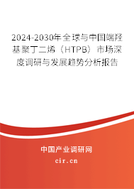 2024-2030年全球與中國端羥基聚丁二烯（HTPB）市場深度調(diào)研與發(fā)展趨勢(shì)分析報(bào)告