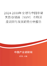 2024-2030年全球與中國(guó)非易失性存儲(chǔ)器（NVM）市場(chǎng)深度調(diào)研與發(fā)展趨勢(shì)分析報(bào)告