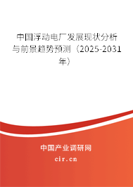 中國浮動電廠發(fā)展現(xiàn)狀分析與前景趨勢預(yù)測(2025-2031年) 中國浮動電廠發(fā)展現(xiàn)狀分析與前景趨勢預(yù)測(2025-2031年)