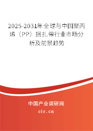 2025-2031年全球與中國(guó)聚丙烯（PP）捆扎帶行業(yè)市場(chǎng)分析及前景趨勢(shì)