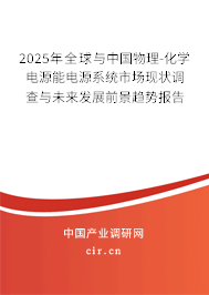 2025年全球與中國物理-化學(xué)電源能電源系統(tǒng)市場現(xiàn)狀調(diào)查與未來發(fā)展前景趨勢報告