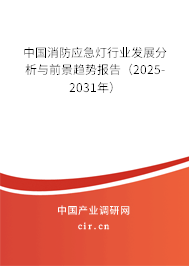 中國消防應(yīng)急燈行業(yè)發(fā)展分析與前景趨勢報告(2025-2031年) 中國消防應(yīng)急燈行業(yè)發(fā)展分析與前景趨勢報告(2025-2031年)