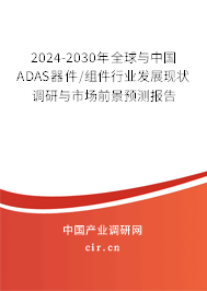 2024-2030年全球與中國ADAS器件/組件行業(yè)發(fā)展現(xiàn)狀調(diào)研與市場前景預測報告