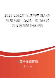 2025-2031年全球與中國ARM模塊系統(tǒng)(SoM)市場(chǎng)研究及發(fā)展前景分析報(bào)告 2025-2031年全球與中國ARM模塊系統(tǒng)(SoM)市場(chǎng)研究及發(fā)展前景分析報(bào)告