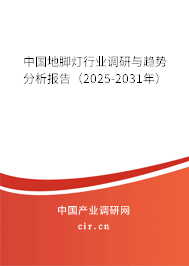 中國地腳燈行業(yè)調(diào)研與趨勢分析報(bào)告(2025-2031年) 中國地腳燈行業(yè)調(diào)研與趨勢分析報(bào)告(2025-2031年)