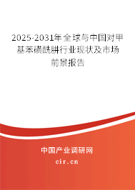 2025-2031年全球與中國對甲基苯磺酰肼行業(yè)現(xiàn)狀及市場前景報(bào)告 2025-2031年全球與中國對甲基苯磺酰肼行業(yè)現(xiàn)狀及市場前景報(bào)告