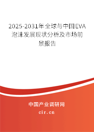 2025-2031年全球與中國EVA泡沫發(fā)展現(xiàn)狀分析及市場前景報告 2025-2031年全球與中國EVA泡沫發(fā)展現(xiàn)狀分析及市場前景報告