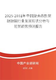 2025-2031年中國(guó)復(fù)合改性聚醚醚酮行業(yè)發(fā)展現(xiàn)狀分析與前景趨勢(shì)預(yù)測(cè)報(bào)告