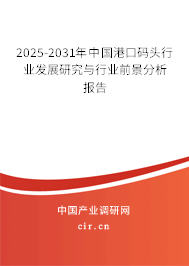 2025-2031年中國(guó)港口碼頭行業(yè)發(fā)展研究與行業(yè)前景分析報(bào)告