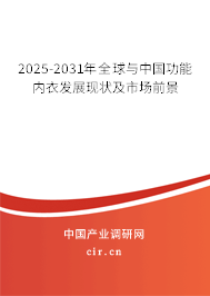 2025-2031年全球與中國功能內衣發(fā)展現狀及市場前景