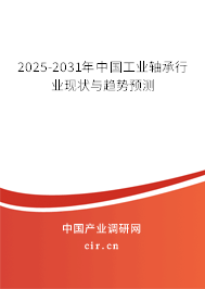 2025-2031年中國工業(yè)軸承行業(yè)現(xiàn)狀與趨勢預(yù)測