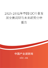 2025-2031年中國IDC行業(yè)發(fā)展全面調(diào)研與未來趨勢分析報告