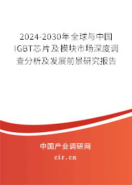 2024-2030年全球與中國(guó)IGBT芯片及模塊市場(chǎng)深度調(diào)查分析及發(fā)展前景研究報(bào)告 2024-2030年全球與中國(guó)IGBT芯片及模塊市場(chǎng)深度調(diào)查分析及發(fā)展前景研究報(bào)告