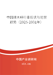 中國(guó)辣木籽行業(yè)現(xiàn)狀與前景趨勢(shì)（2024-2030年）