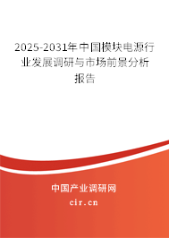 2025-2031年中國模塊電源行業(yè)發(fā)展調(diào)研與市場前景分析報告
