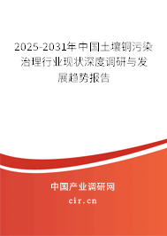2025-2031年中國土壤銅污染治理行業(yè)現(xiàn)狀深度調(diào)研與發(fā)展趨勢報告