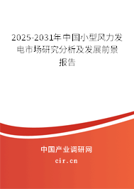 2025-2031年中國小型風(fēng)力發(fā)電市場研究分析及發(fā)展前景報(bào)告