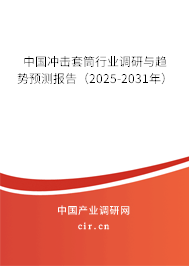 中國沖擊套筒行業(yè)調研與趨勢預測報告(2025-2031年) 中國沖擊套筒行業(yè)調研與趨勢預測報告(2025-2031年)