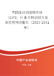 中國發(fā)動機(jī)管理系統(tǒng)（EMS）行業(yè)市場調(diào)研與發(fā)展前景預(yù)測報(bào)告（2025-2031年）