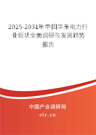 2025-2031年中國(guó)華東電力行業(yè)現(xiàn)狀全面調(diào)研與發(fā)展趨勢(shì)報(bào)告