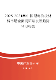 2025-2031年中國鋰電負極材料市場全面調(diào)研與發(fā)展趨勢預測報告