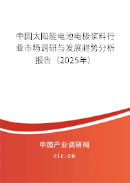 中國太陽能電池電極漿料行業(yè)市場調(diào)研與發(fā)展趨勢分析報告（2025年）