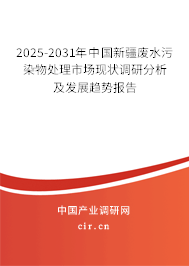2025-2031年中國新疆廢水污染物處理市場現(xiàn)狀調(diào)研分析及發(fā)展趨勢報(bào)告
