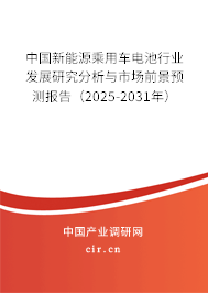 中國新能源乘用車電池行業(yè)發(fā)展研究分析與市場前景預(yù)測報告(2025-2031年) 中國新能源乘用車電池行業(yè)發(fā)展研究分析與市場前景預(yù)測報告(2025-2031年)
