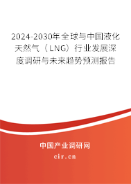 2024-2030年全球與中國液化天然氣（LNG）行業(yè)發(fā)展深度調(diào)研與未來趨勢預(yù)測報告