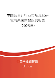 中國音量計行業(yè)市場現(xiàn)狀研究與未來前景趨勢報告(2025年) 中國音量計行業(yè)市場現(xiàn)狀研究與未來前景趨勢報告(2025年)