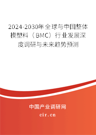 2024-2030年全球與中國整體模塑料（BMC）行業(yè)發(fā)展深度調(diào)研與未來趨勢預(yù)測