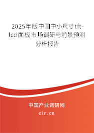 2025年版中國(guó)中小尺寸tft-lcd面板市場(chǎng)調(diào)研與前景預(yù)測(cè)分析報(bào)告 2025年版中國(guó)中小尺寸tft-lcd面板市場(chǎng)調(diào)研與前景預(yù)測(cè)分析報(bào)告