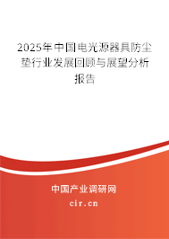 2025年中國電光源器具防塵墊行業(yè)發(fā)展回顧與展望分析報告