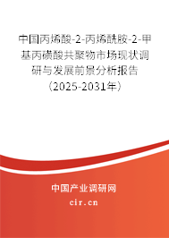 中國(guó)丙烯酸-2-丙烯酰胺-2-甲基丙磺酸共聚物市場(chǎng)現(xiàn)狀調(diào)研與發(fā)展前景分析報(bào)告（2025-2031年）