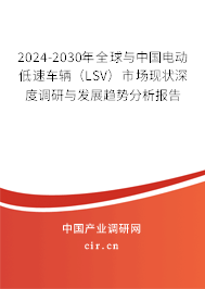 2024-2030年全球與中國電動低速車輛(LSV)市場現(xiàn)狀深度調(diào)研與發(fā)展趨勢分析報告 2024-2030年全球與中國電動低速車輛(LSV)市場現(xiàn)狀深度調(diào)研與發(fā)展趨勢分析報告