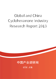 Global and China Cyclohexanone Industry Research Report 2013 Global and China Cyclohexanone Industry Research Report 2013
