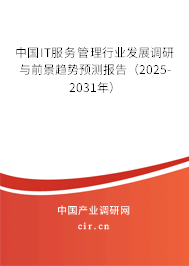 中國IT服務(wù)管理行業(yè)發(fā)展調(diào)研與前景趨勢預(yù)測報告（2024-2030年）