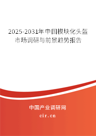 2025-2031年中國模塊化頭盔市場調(diào)研與前景趨勢報(bào)告