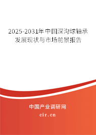 2025-2031年中國深溝球軸承發(fā)展現(xiàn)狀與市場前景報告 2025-2031年中國深溝球軸承發(fā)展現(xiàn)狀與市場前景報告