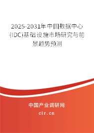 2025-2031年中國(guó)數(shù)據(jù)中心(IDC)基礎(chǔ)設(shè)施市場(chǎng)研究與前景趨勢(shì)預(yù)測(cè)