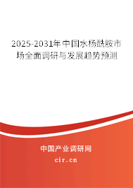 2025-2031年中國水楊酰胺市場全面調(diào)研與發(fā)展趨勢預(yù)測 2025-2031年中國水楊酰胺市場全面調(diào)研與發(fā)展趨勢預(yù)測