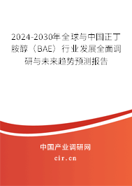 2024-2030年全球與中國正丁胺醇（BAE）行業(yè)發(fā)展全面調(diào)研與未來趨勢預(yù)測報(bào)告