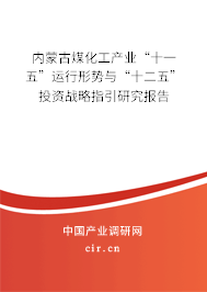 內(nèi)蒙古煤化工產(chǎn)業(yè)“十一五”運(yùn)行形勢(shì)與“十二五”投資戰(zhàn)略指引研究報(bào)告 內(nèi)蒙古煤化工產(chǎn)業(yè)“十一五”運(yùn)行形勢(shì)與“十二五”投資戰(zhàn)略指引研究報(bào)告