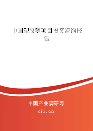 中國塑膠籮項目投資咨詢報告 中國塑膠籮項目投資咨詢報告