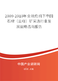 2009-2010年金融危機下中國石棉（云母）礦采選行業(yè)發(fā)展戰(zhàn)略咨詢報告