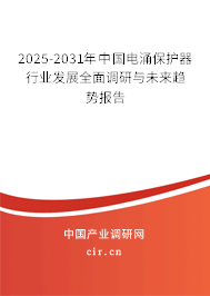 2025-2031年中國電涌保護(hù)器行業(yè)發(fā)展全面調(diào)研與未來趨勢報(bào)告 2025-2031年中國電涌保護(hù)器行業(yè)發(fā)展全面調(diào)研與未來趨勢報(bào)告