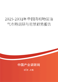 2025-2031年中國海相地層油氣市場調(diào)研與前景趨勢報告