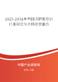 2025-2031年中國IT職業(yè)培訓(xùn)行業(yè)研究與市場前景報告