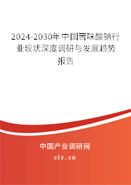 2024-2030年中國苦味酸鈉行業(yè)現(xiàn)狀深度調(diào)研與發(fā)展趨勢報告